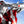 Ultraman vs Black King Statue à l'échelle 1/4 édition exclusive